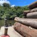 Polícia Federal deflagra combate desmatamento ilegal no Amazonas