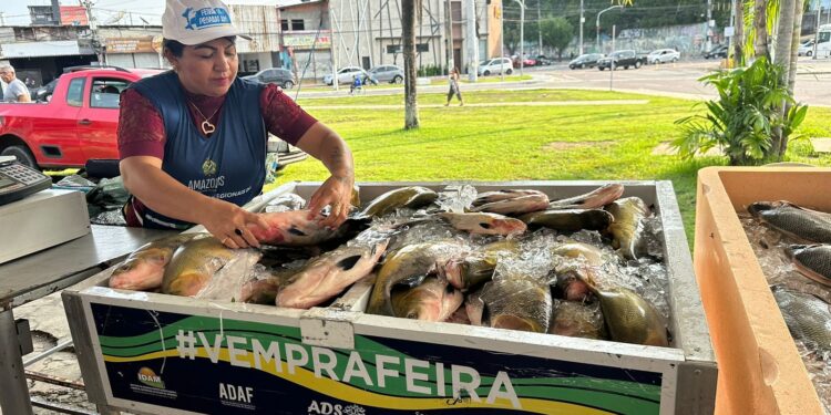 117 toneladas de peixes foram comercializadas no Feirão do Pescado 2024
