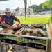 117 toneladas de peixes foram comercializadas no Feirão do Pescado 2024