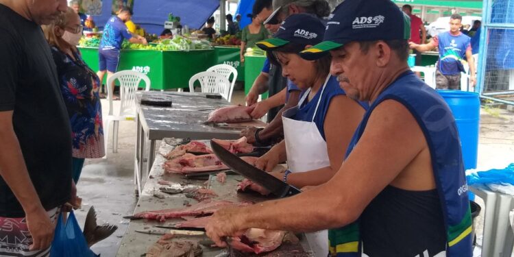 Feirão do Pescado 2024: Mais de 100 toneladas de peixes vão estar à venda em Manaus nos dias 27, 28 e 29 de março