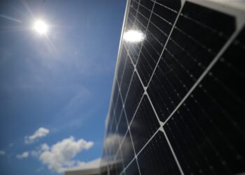 Governo do Amazonas, em parceria com a WWF, promove seminário para debater a transição energética