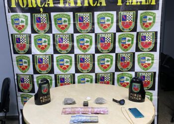 PM do Amazonas apreende mais de 1 tonelada de pescado e nove pássaros