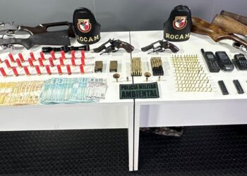 Sete armas e mais de 300 munições são apreendidas no município de Barcelos