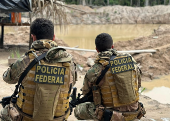 PF desmobiliza garimpo ilegal em unidade de conservação no sul do Amazonas