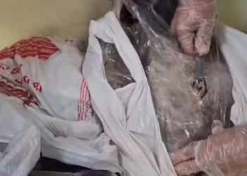 Homem sai de Manaus com drogas em tambaqui e acaba preso no Rio de Janeiro