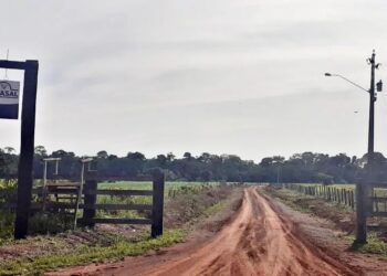 A pedido da DPE-AM, Justiça suspende reintegração de posse da Fazenda Palotina, em Lábrea