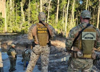 No Amazonas, PF destrói 5 garimpos ilegais em unidade de conservação