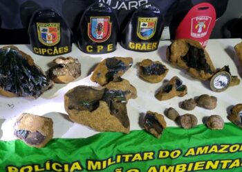 PM apreende cerca de 20 kg de Vivianita em embarcação em Barcelos