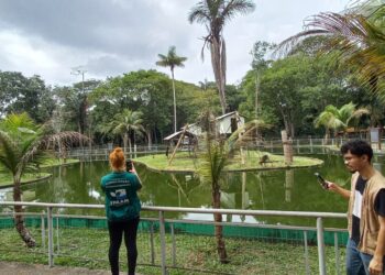 Licença de Operação do Zoológico do Cigs é renovada