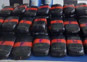 Polícias Civil e Federal apreendem drogas em porto de Santo Antônio do Içá (AM)