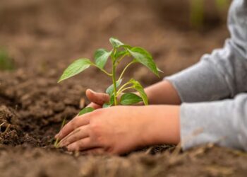 Centro Universitário promove ação ambiental em Manaus
