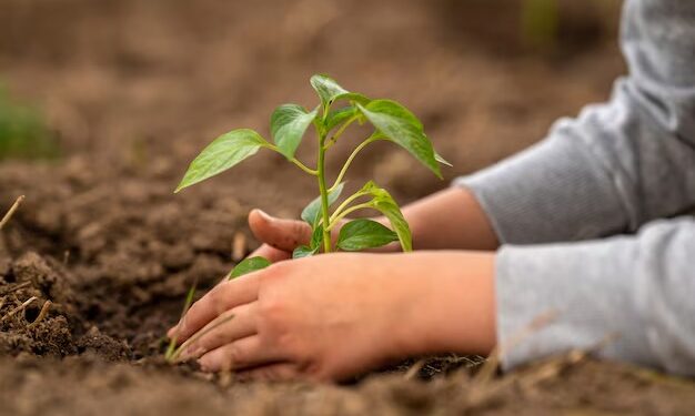 Centro Universitário promove ação ambiental em Manaus
