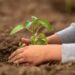 Centro Universitário promove ação ambiental em Manaus