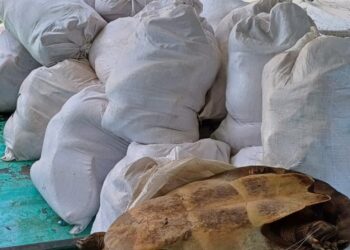 Polícia Militar do Amazonas apreende cerca de duas toneladas de pescado ilegal