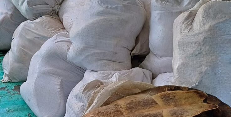 Polícia Militar do Amazonas apreende cerca de duas toneladas de pescado ilegal