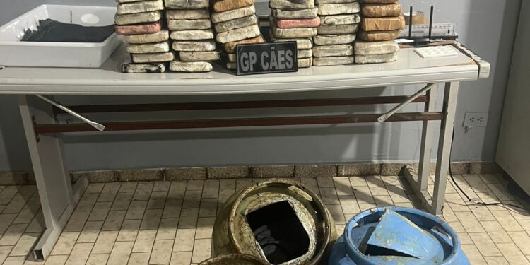 PM apreende 48 kg de drogas dentro botijões de gás no Amazonas
