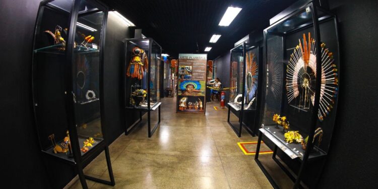 Semana Nacional do Museu destaca a interseção entre museus, educação e pesquisas