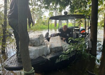 Polícias do Amazonas e do Rio de Janeiro apreendem uma tonelada de maconha no Iranduba