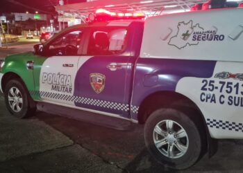 Filha tenta matar a mãe idosa a facadas, em Manaus