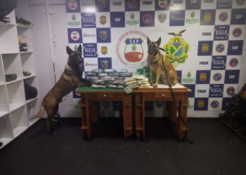 Polícia apreende drogas escondidas em arame farpado, sacos de farinha, freezer e rolo de plástico