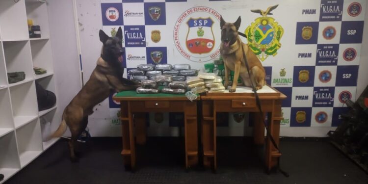 Polícia apreende drogas escondidas em arame farpado, sacos de farinha, freezer e rolo de plástico