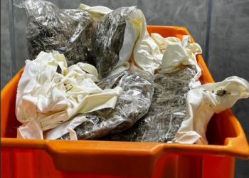 PF prende mulher por tráfico de drogas no Aeroporto Internacional Eduardo Gomes