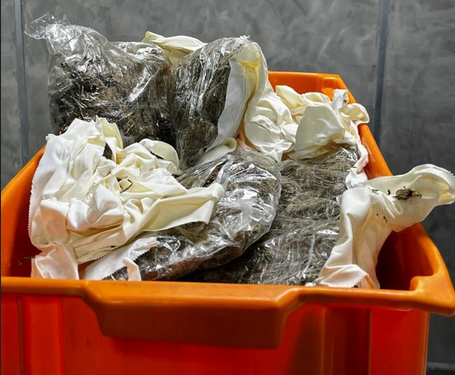 PF prende mulher por tráfico de drogas no Aeroporto Internacional Eduardo Gomes