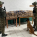 Exército apreende mais de 540kg de drogas na fronteira do Amazonas com a Colômbia