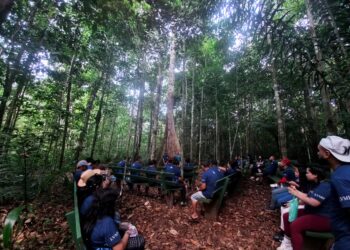 Comunidades tradicionais de Iranduba recebem capacitação em turismo sustentável