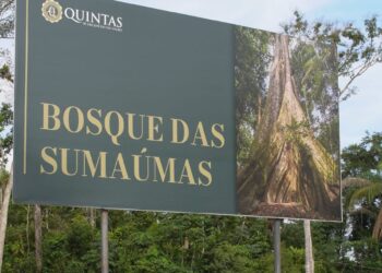 Bosque das Sumaúmas dá início a projeto de Educação Ambiental no Tarumã