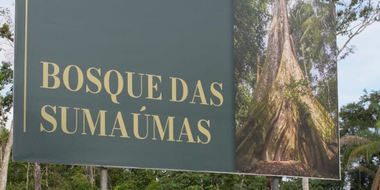 Bosque das Sumaúmas dá início a projeto de Educação Ambiental no Tarumã