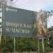 Bosque das Sumaúmas dá início a projeto de Educação Ambiental no Tarumã