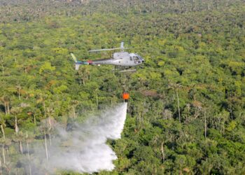 Monitoramento ambiental e queimadas ilegais são pautas de novas recomendações do MPAM