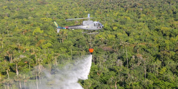 Monitoramento ambiental e queimadas ilegais são pautas de novas recomendações do MPAM