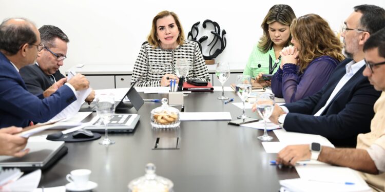 No TCE, reunião define Comitê de Crise para Saúde Pública no Amazonas