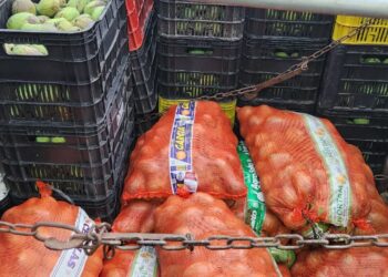 Adaf apreende 11 toneladas de manga em barreira de vigilância