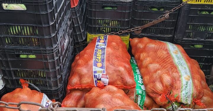 Adaf apreende 11 toneladas de manga em barreira de vigilância