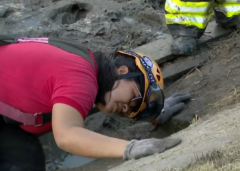 Bombeiros tentam resgatar homem que se escondeu dentro de bueiro em Manaus