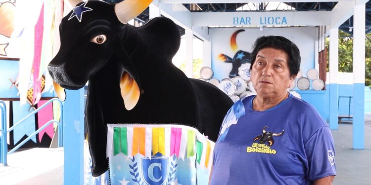 Festival de Parintins 2024: conheça as casas dos bois Caprichoso e Garantido, os famosos ‘currais’