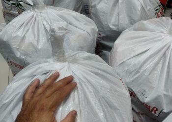 Operação ContraFashion: PC-AM e Procon Manaus apreendem cerca de 1.500 produtos falsificados no setor de vestuário