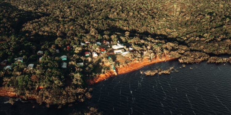 Mês do Meio Ambiente é celebrado com documentário, webinar e atividades educativas gratuitas