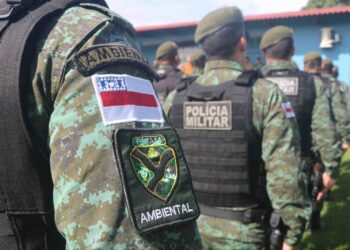 Operação Tamoiotatá 4: Governo do Amazonas aplica R$ 14 milhões em multas por prática de crimes ambientais no sul do Amazonas