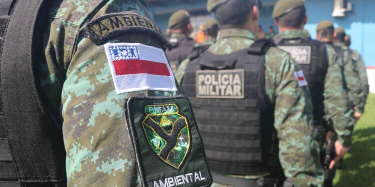 Operação Tamoiotatá 4: Governo do Amazonas aplica R$ 14 milhões em multas por prática de crimes ambientais no sul do Amazonas