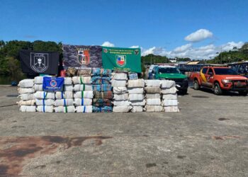 Polícias Militar e Civil apreendem 1,5 tonelada de drogas no Amazonas