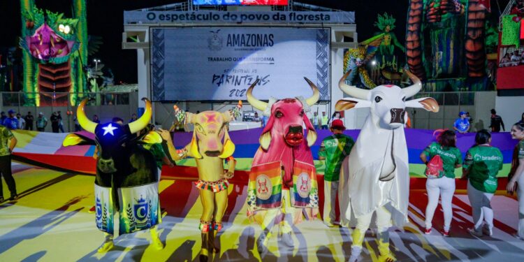 Sejusc e ACNUR levam bois Boiola e Rasgadinho para o Bumbódromo no Dia do Orgulho LGBTQIAPN+