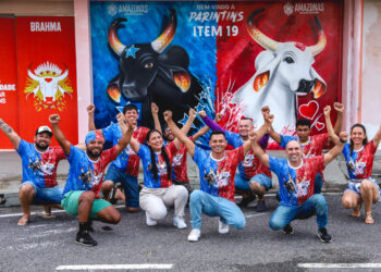 Festival de Parintins 2024: Mural instagramável feito por artista parintinense é a nova atração do Aeroporto Júlio Belém