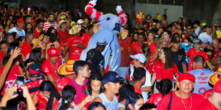 Garantido sai às ruas de Parintins para festejar os namorados e celebrar Santo Antônio