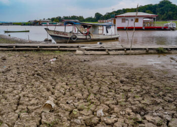 DPE-AM solicita apoio do governo federal no enfrentamento à estiagem severa no interior