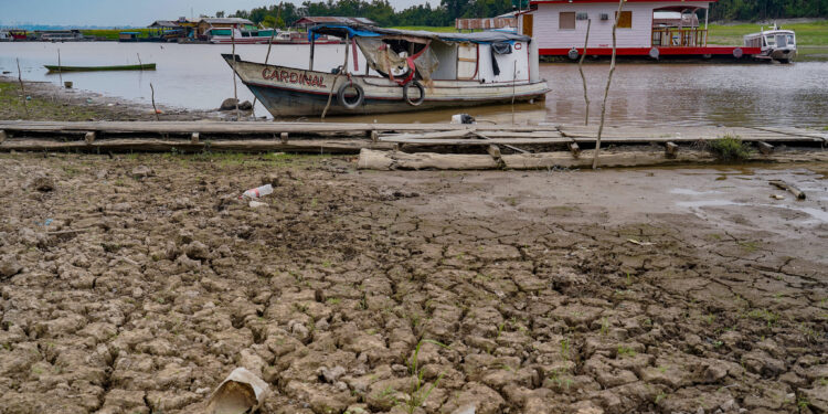DPE-AM solicita apoio do governo federal no enfrentamento à estiagem severa no interior