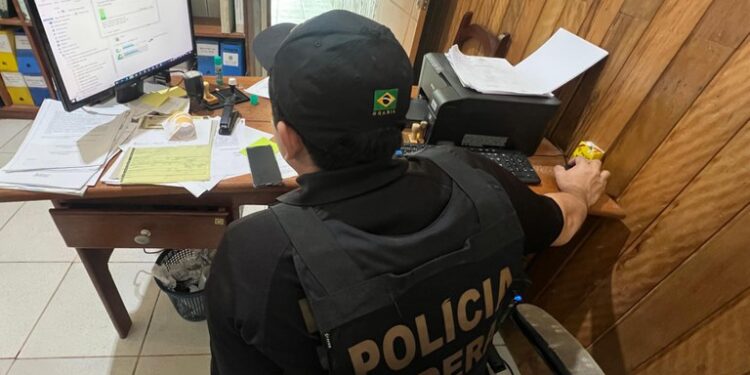 Polícia Federal combate grilagem de terras no Amazonas